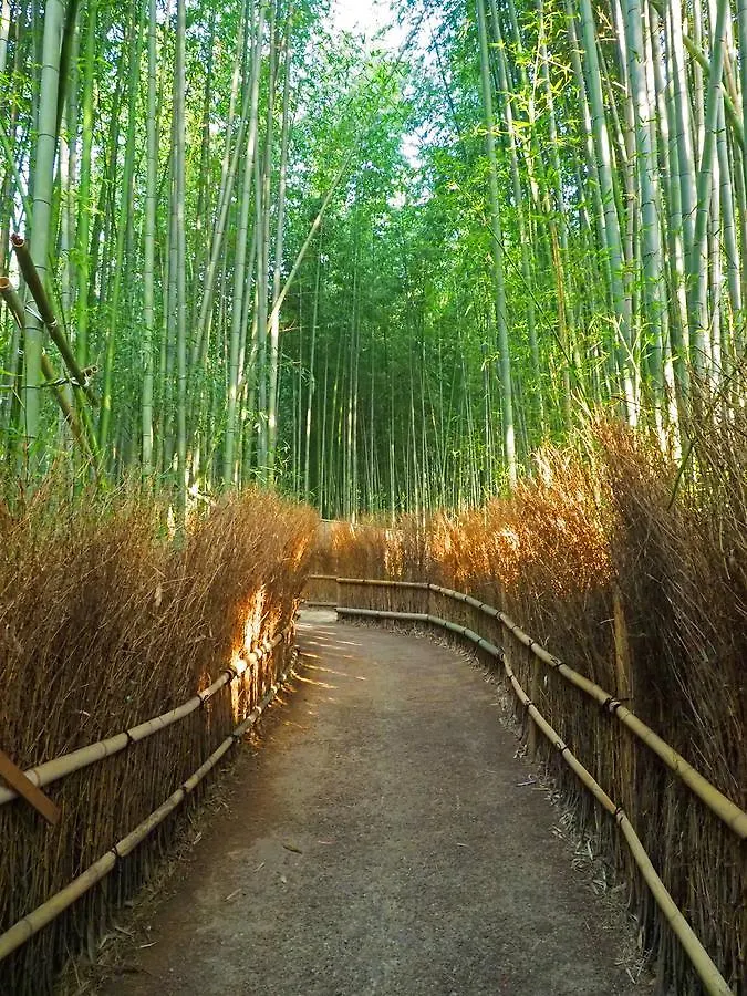 Grateful Hotel Kyoto 2*,  Japan