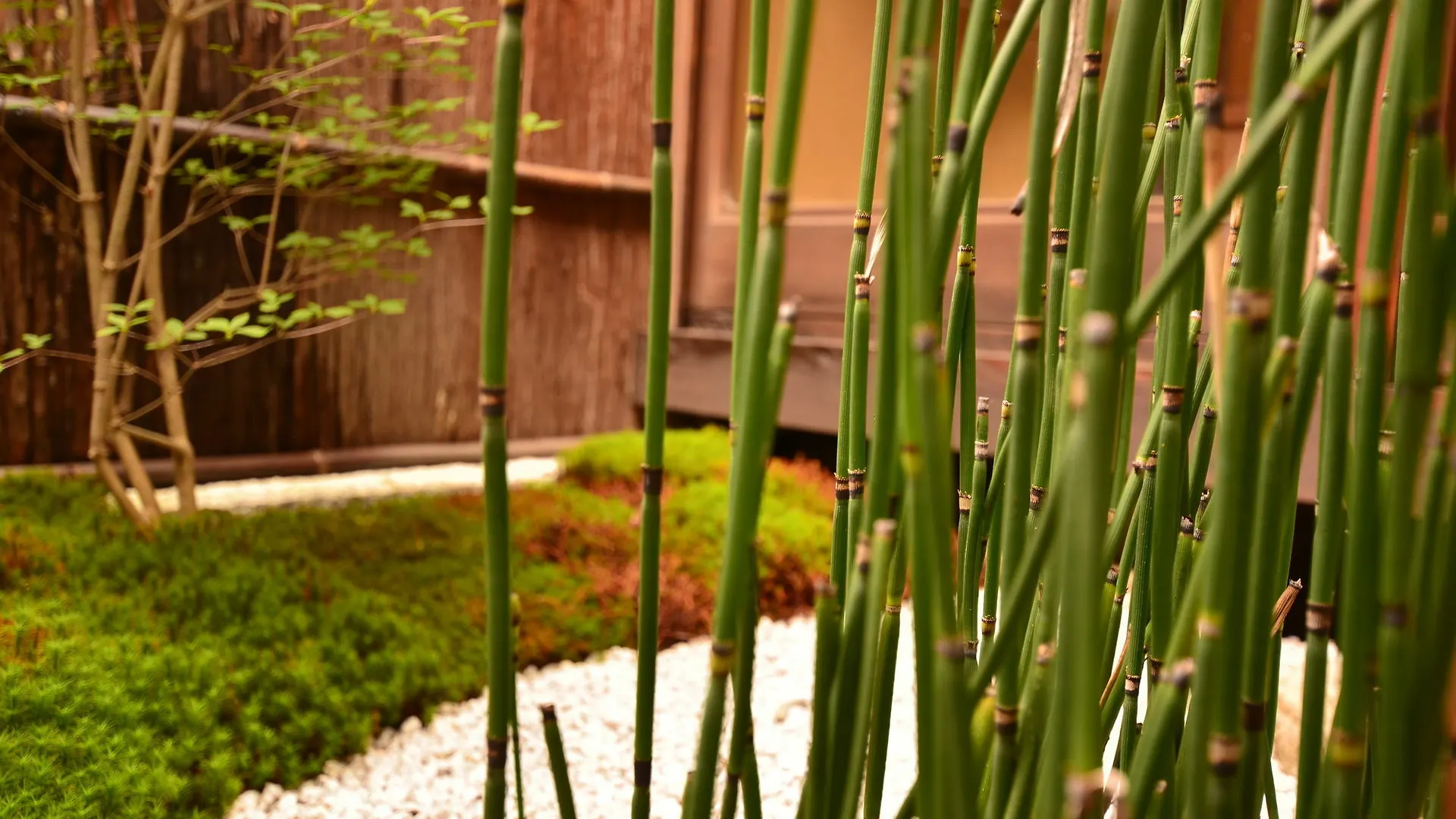 Grateful Hotel Kyoto